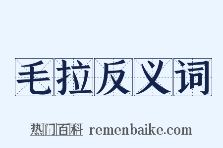 毛拉反义词是什么意思的图片